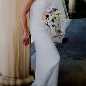 Wedding Dress and Veil